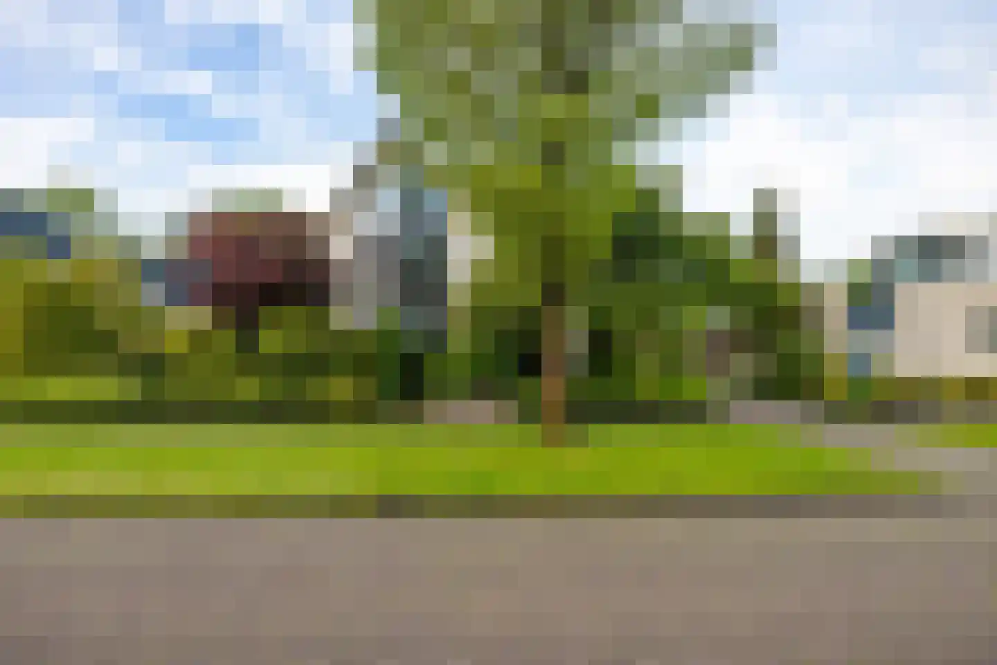 Reidlânswei 48 Hurdegaryp thumbnail 36