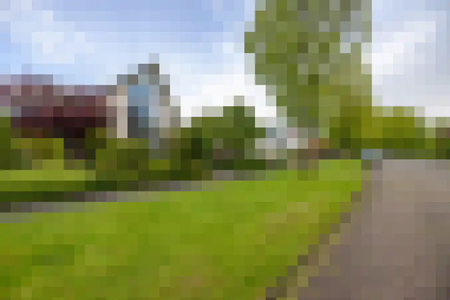 Reidlânswei 48 Hurdegaryp thumbnail 37