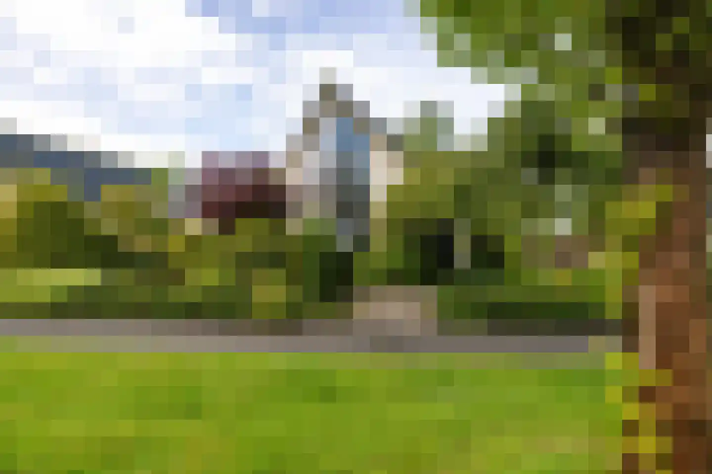 Reidlânswei 48 Hurdegaryp thumbnail 38