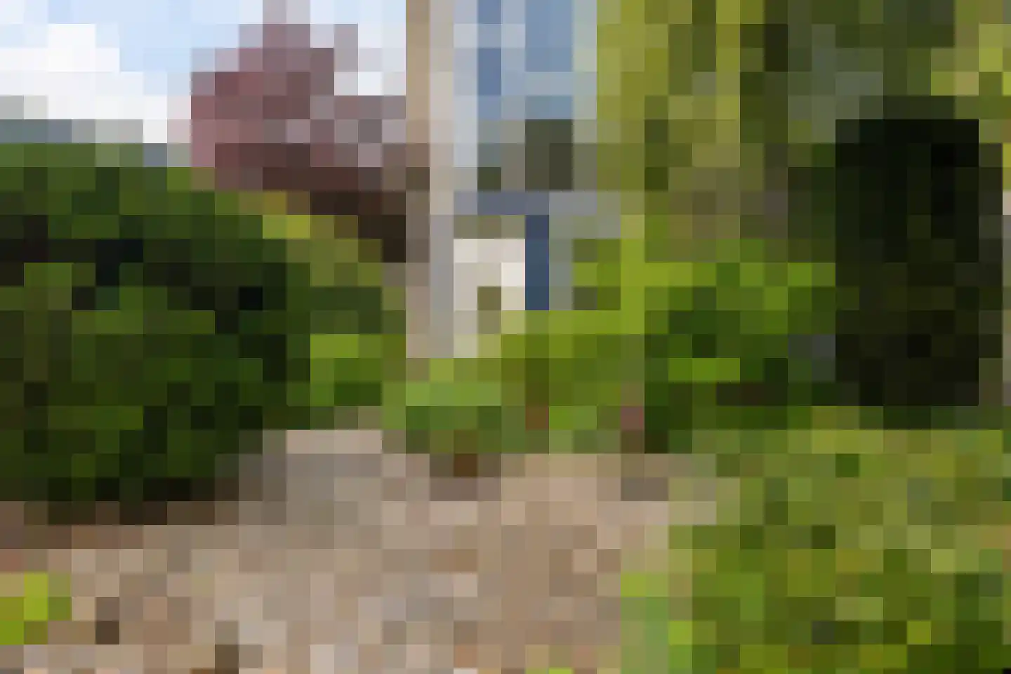 Reidlânswei 48 Hurdegaryp thumbnail 39