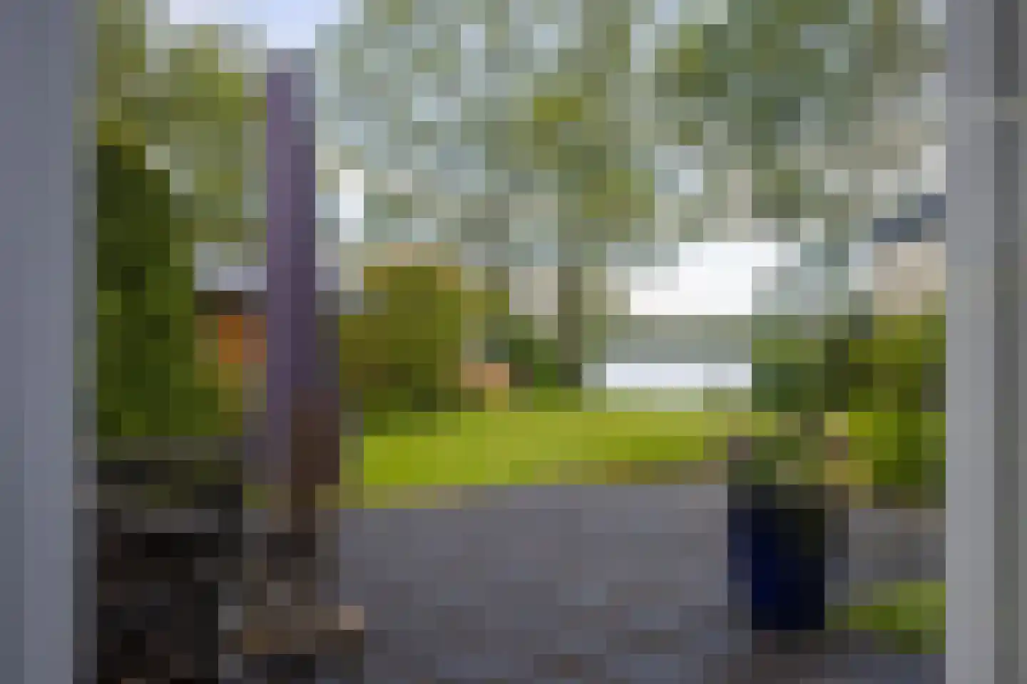Reidlânswei 48 Hurdegaryp thumbnail 42