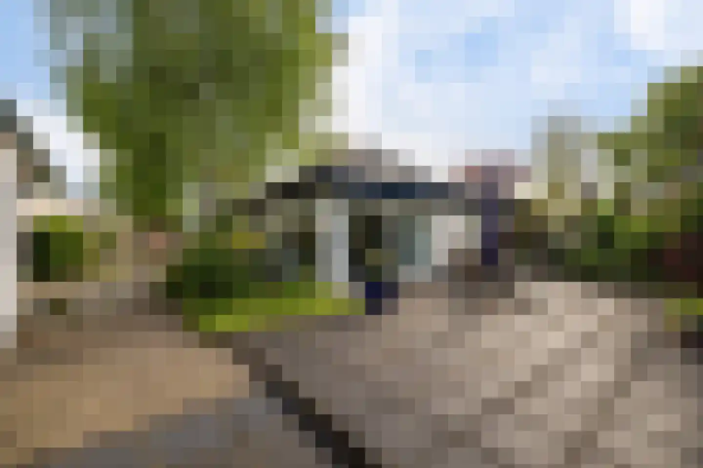 Reidlânswei 48 Hurdegaryp thumbnail 43