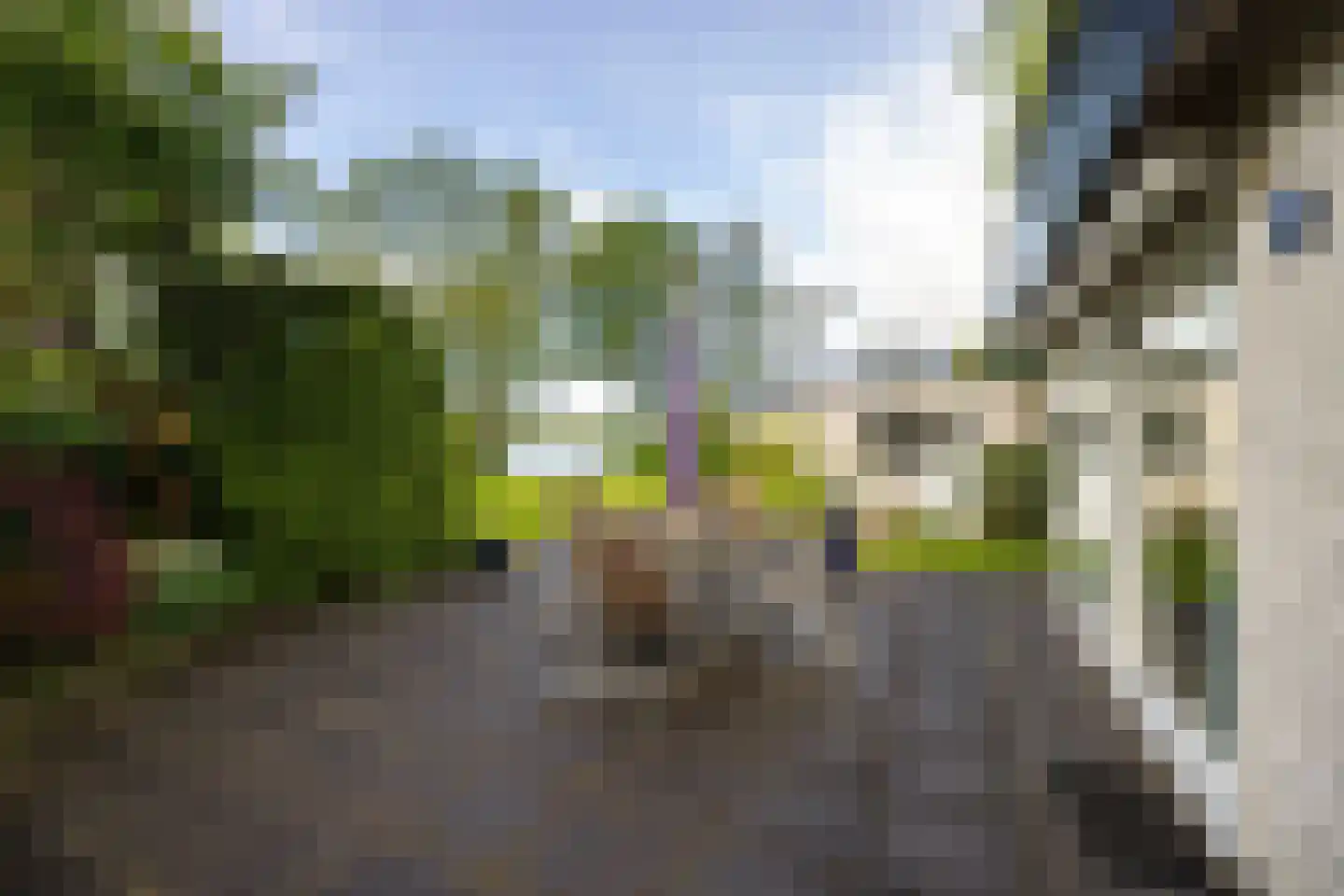 Reidlânswei 48 Hurdegaryp thumbnail 44