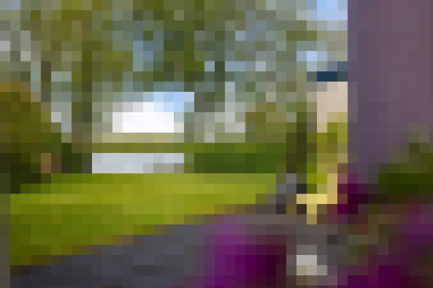 Reidlânswei 48 Hurdegaryp thumbnail 45