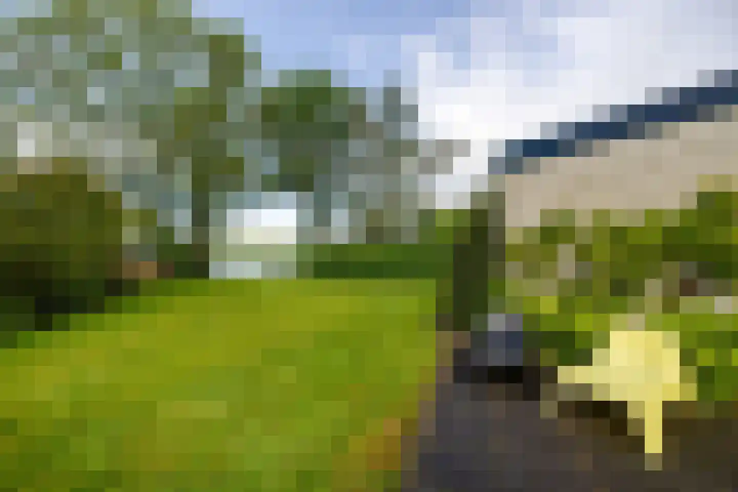 Reidlânswei 48 Hurdegaryp thumbnail 46