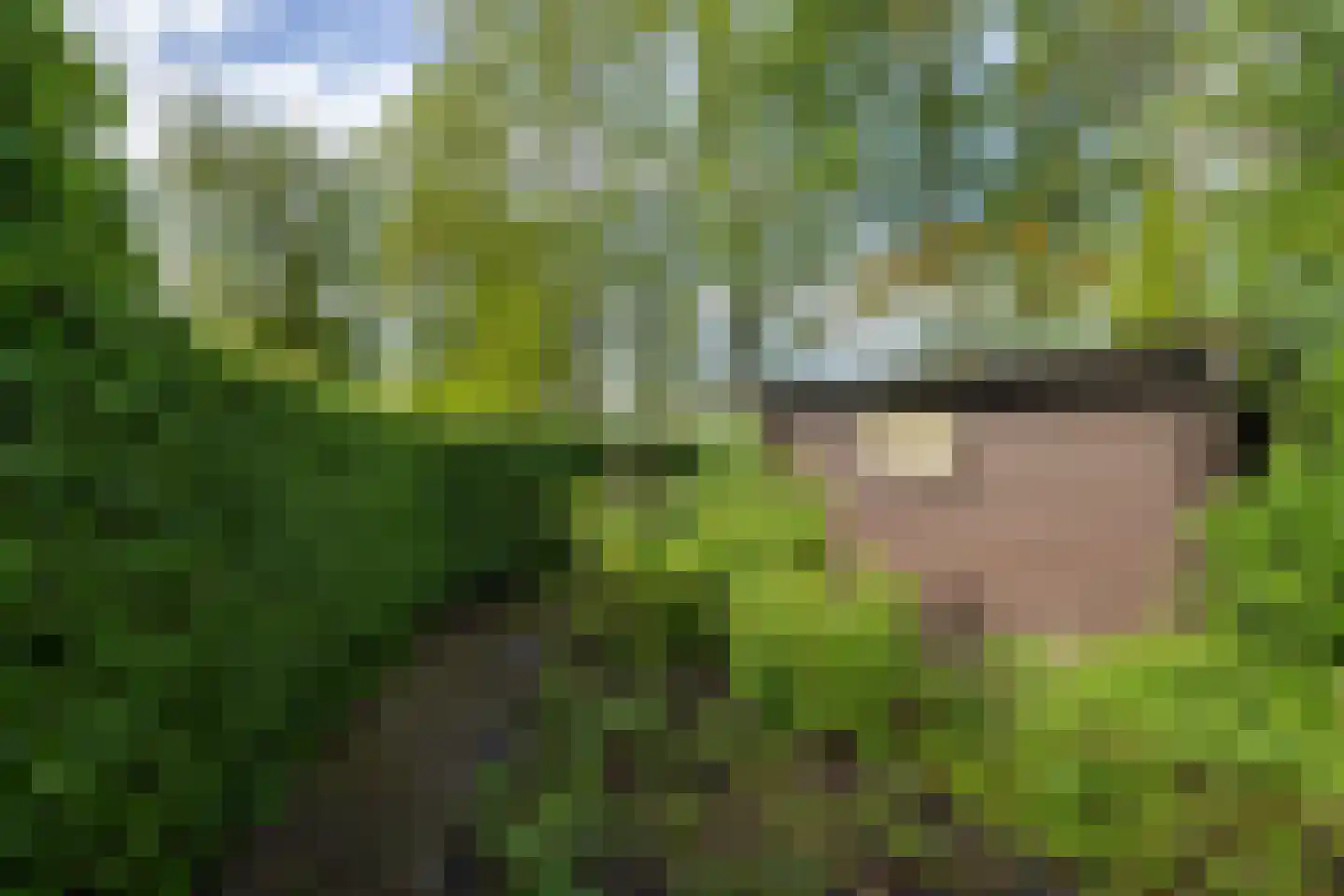 Reidlânswei 48 Hurdegaryp thumbnail 48