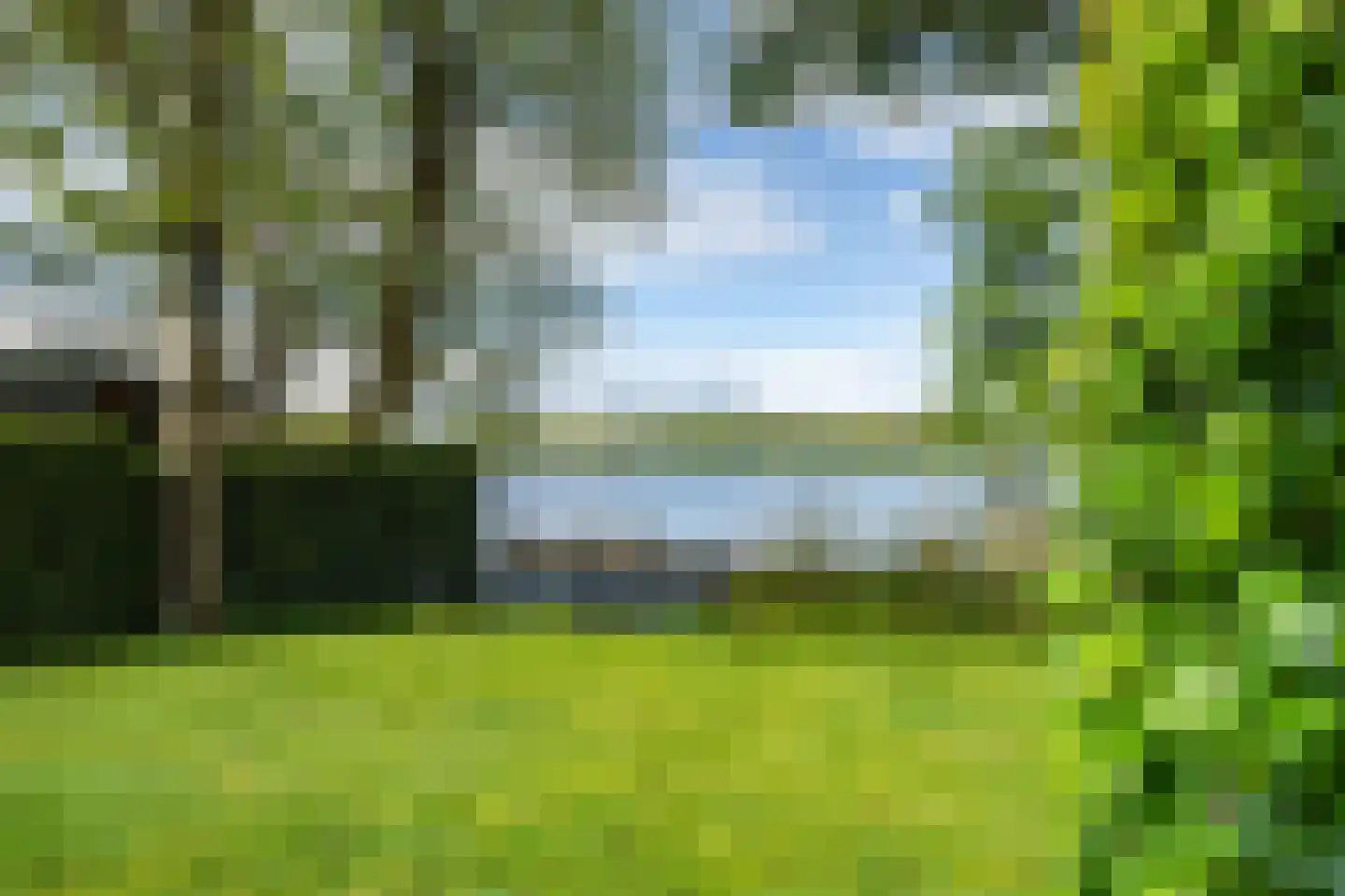 Reidlânswei 48 Hurdegaryp thumbnail 49