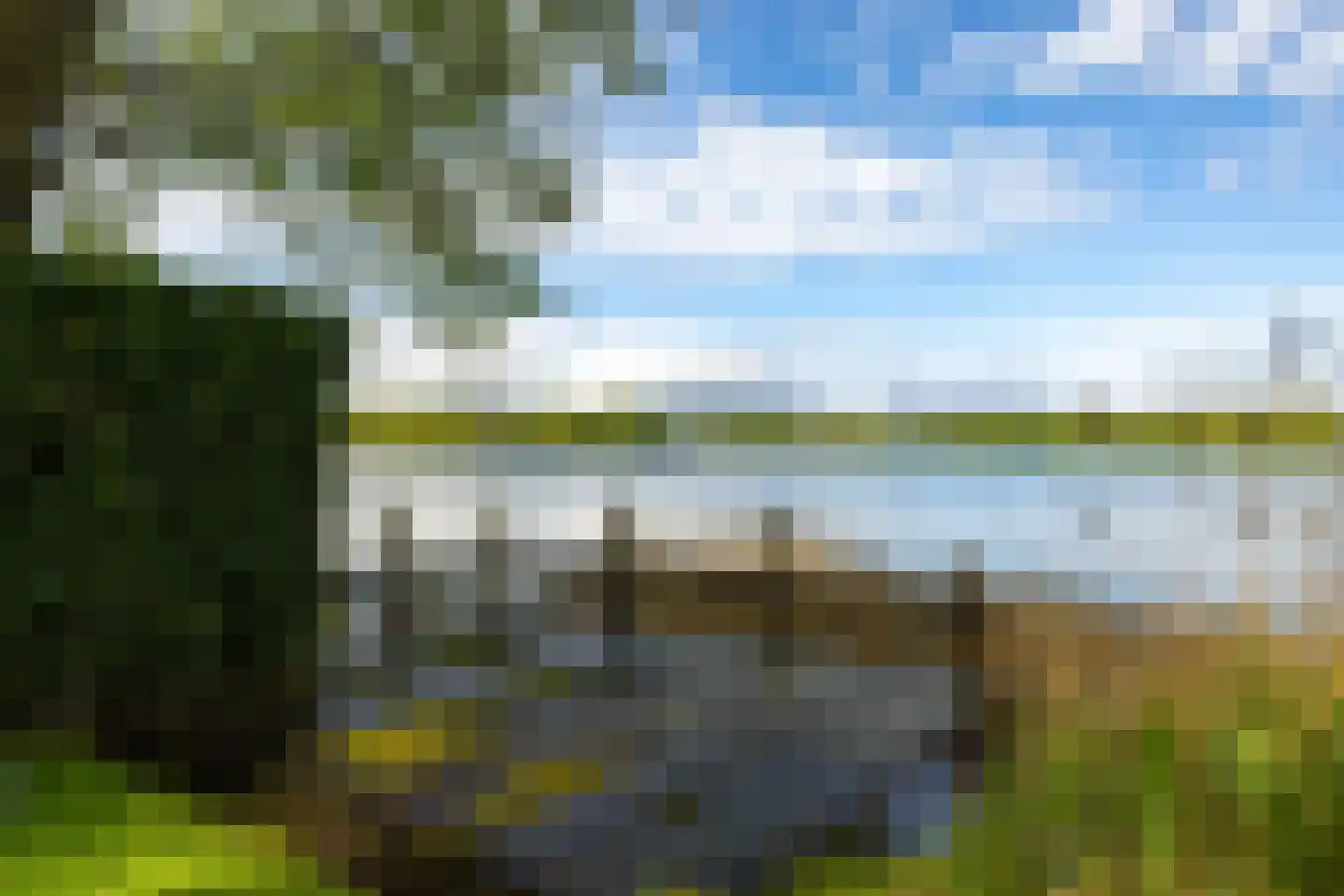 Reidlânswei 48 Hurdegaryp thumbnail 50