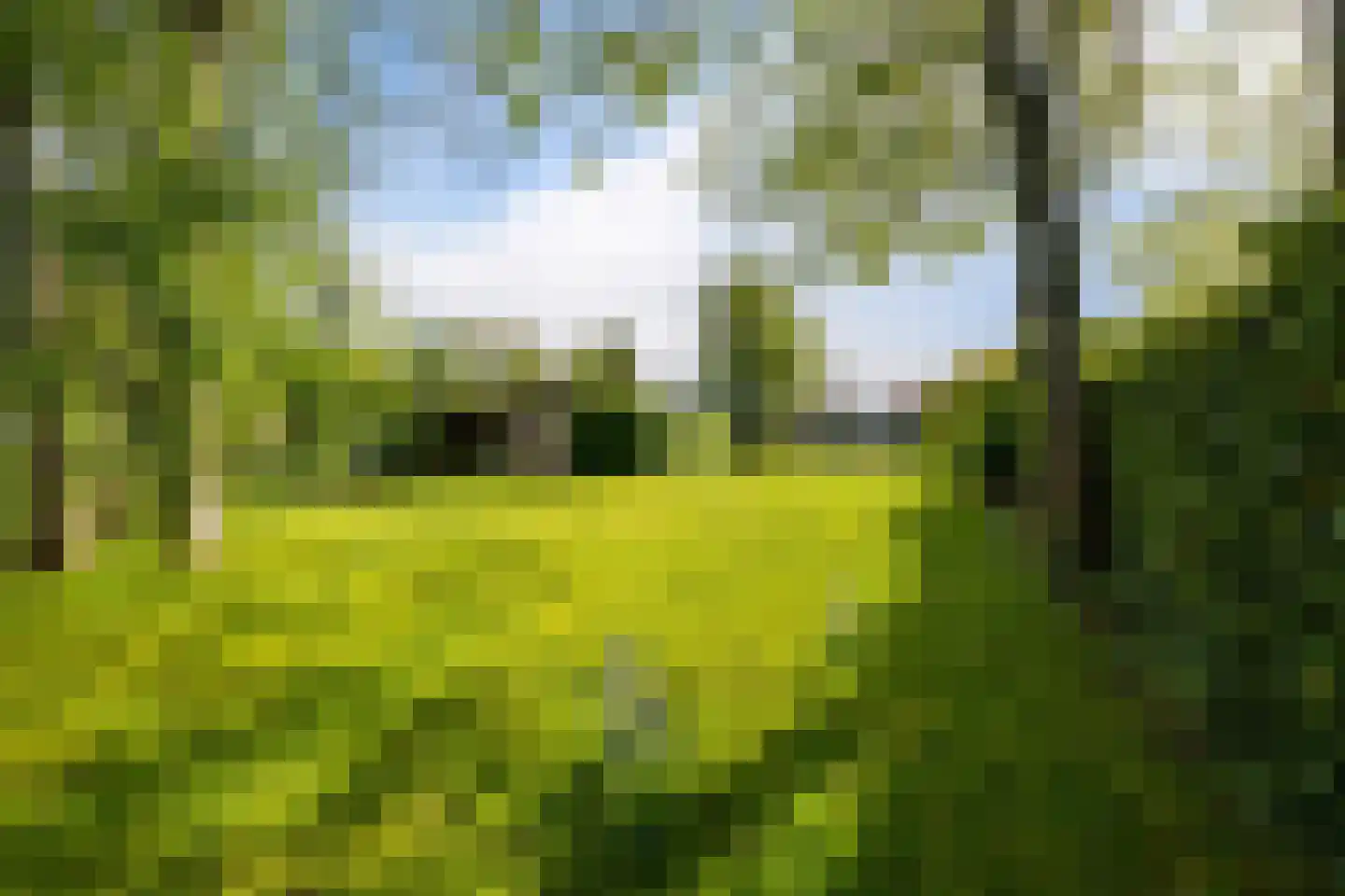 Reidlânswei 48 Hurdegaryp thumbnail 51