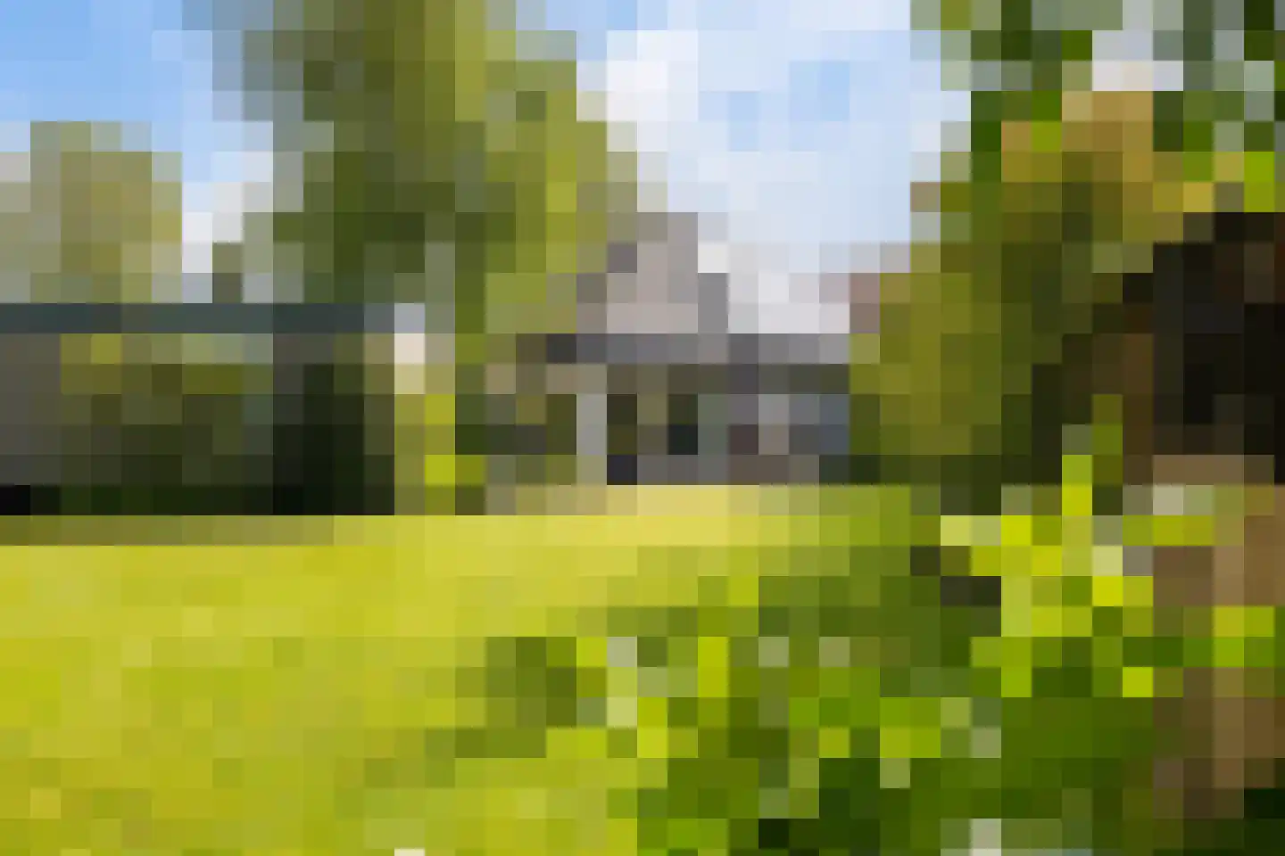 Reidlânswei 48 Hurdegaryp thumbnail 52