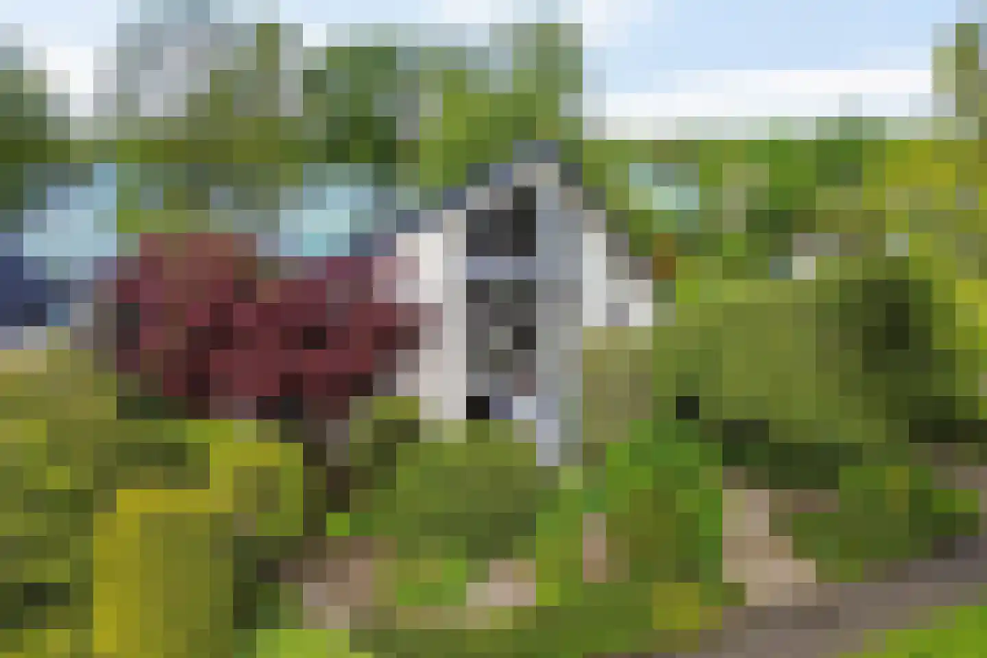 Reidlânswei 48 Hurdegaryp thumbnail 53