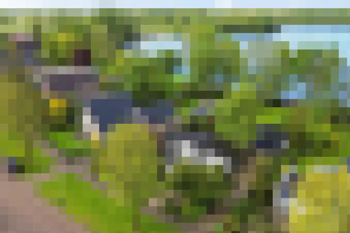 Reidlânswei 48 Hurdegaryp thumbnail 55