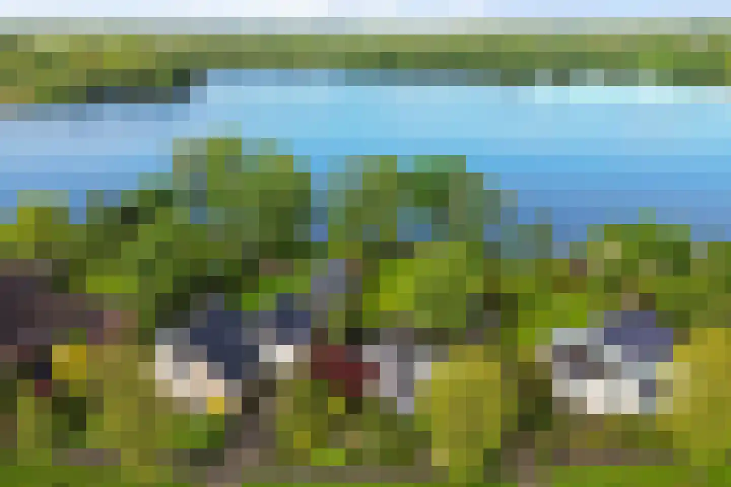Reidlânswei 48 Hurdegaryp thumbnail 56