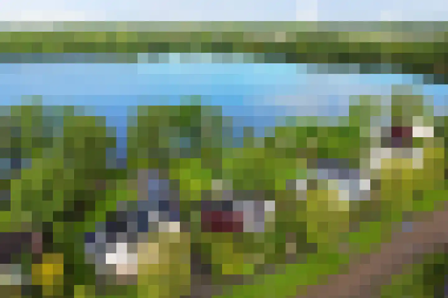 Reidlânswei 48 Hurdegaryp thumbnail 57