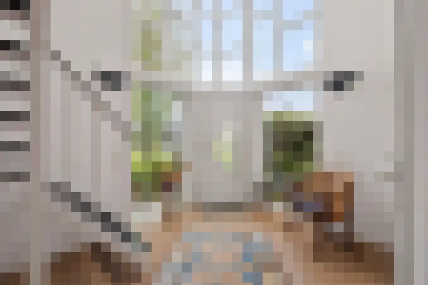Reidlânswei 48 Hurdegaryp thumbnail 6