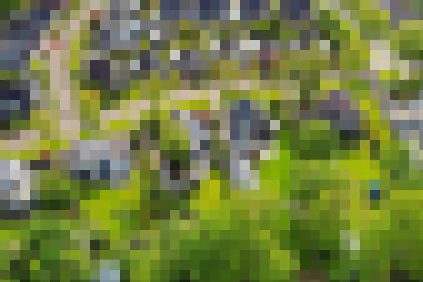 Reidlânswei 48 Hurdegaryp thumbnail 60