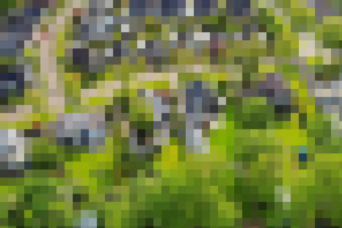 Reidlânswei 48 Hurdegaryp thumbnail 60