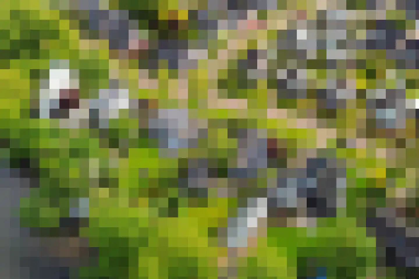 Reidlânswei 48 Hurdegaryp thumbnail 61