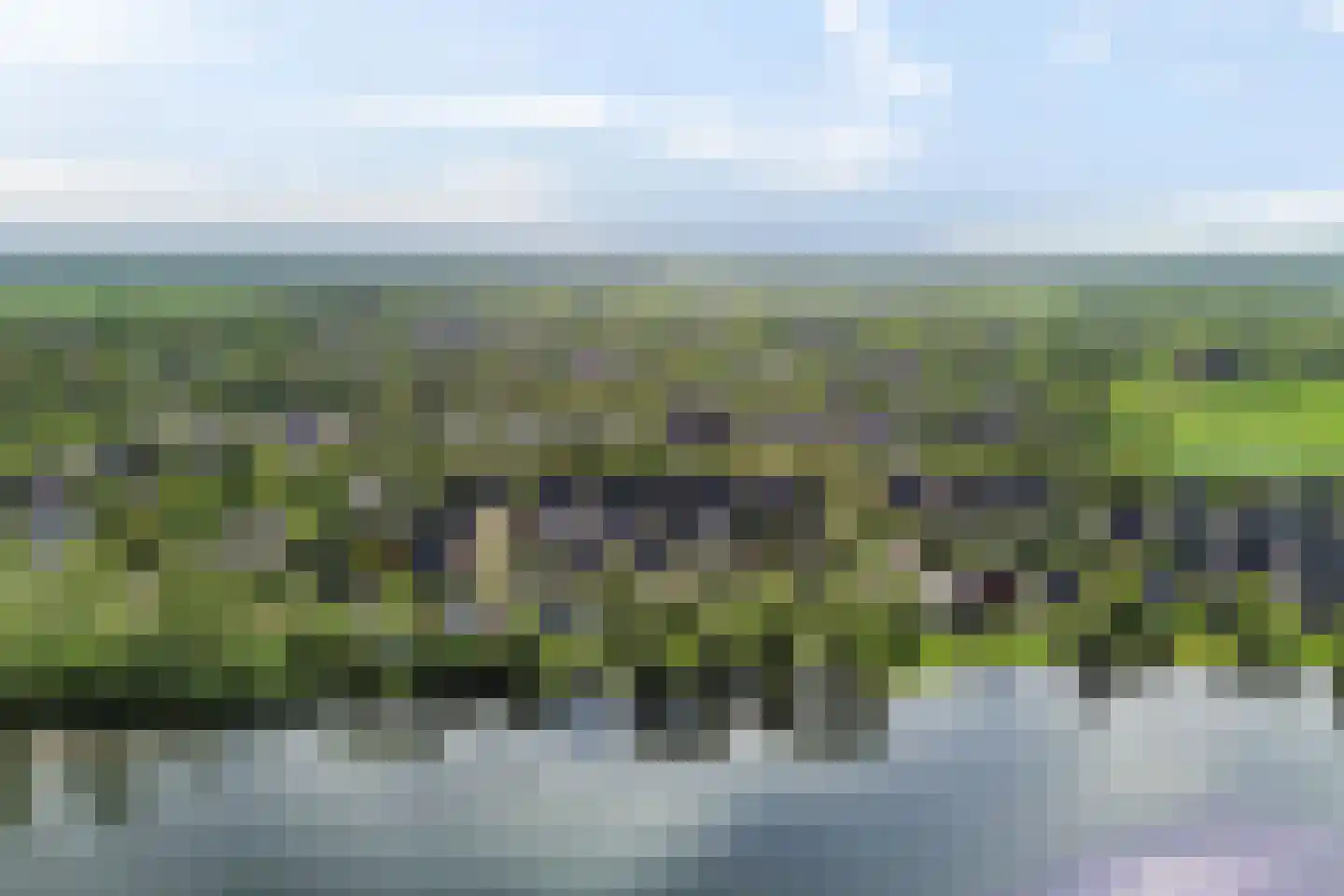 Reidlânswei 48 Hurdegaryp thumbnail 64