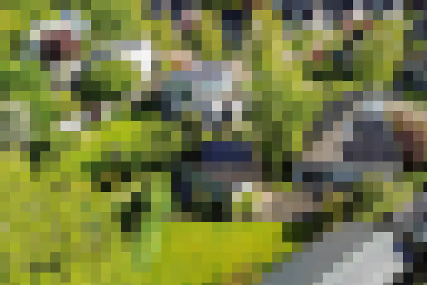 Reidlânswei 48 Hurdegaryp thumbnail 65
