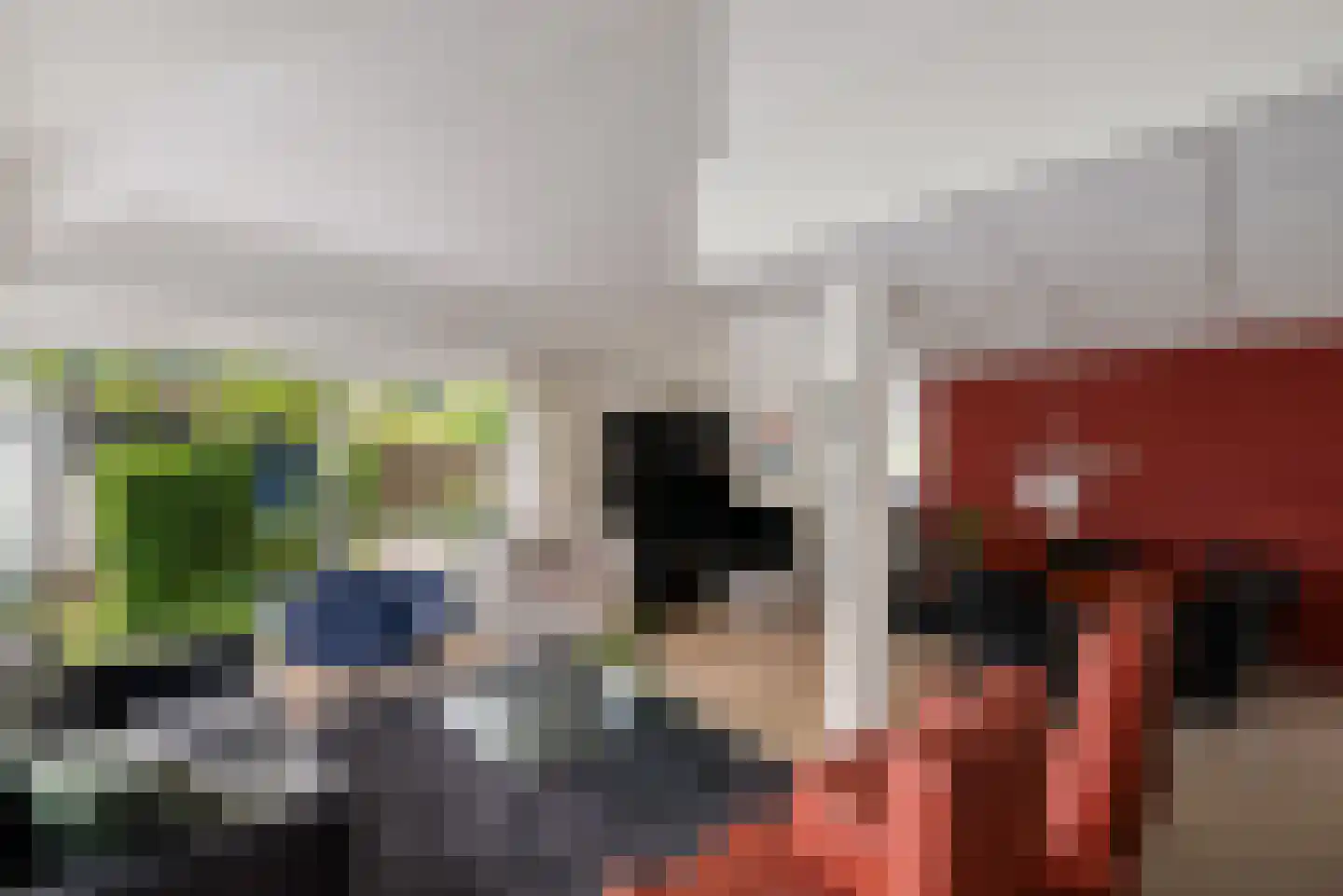 Reidlânswei 48 Hurdegaryp thumbnail 7