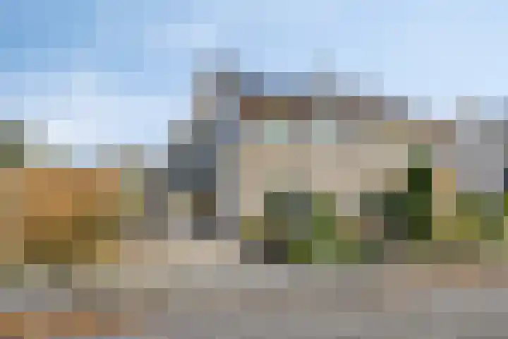 Reidlânswei 81 Hurdegaryp