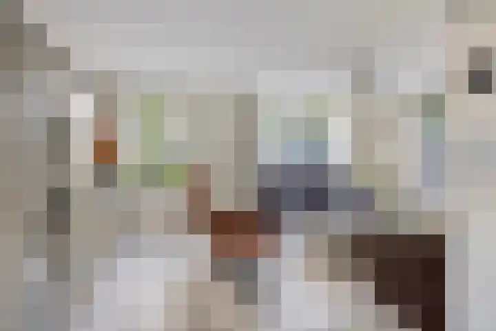 Reidlânswei 81 Hurdegaryp thumbnail 10