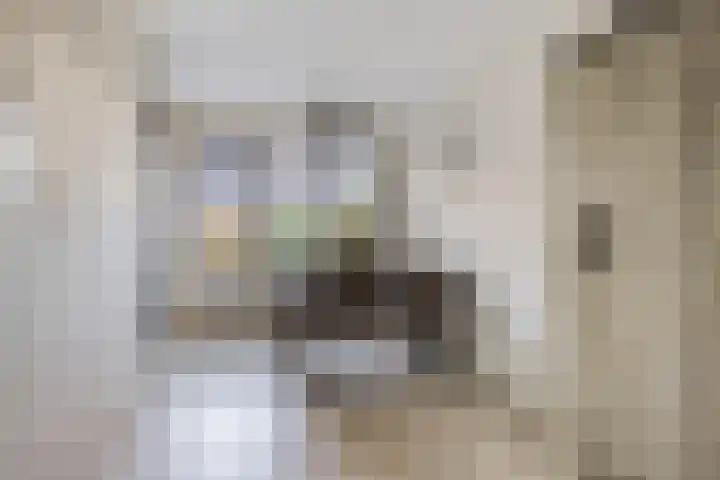 Reidlânswei 81 Hurdegaryp thumbnail 13