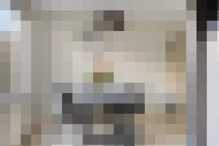 Reidlânswei 81 Hurdegaryp thumbnail 14
