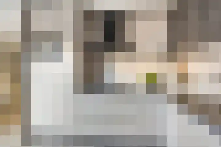 Reidlânswei 81 Hurdegaryp thumbnail 15