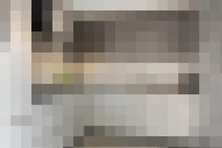 Reidlânswei 81 Hurdegaryp thumbnail 16