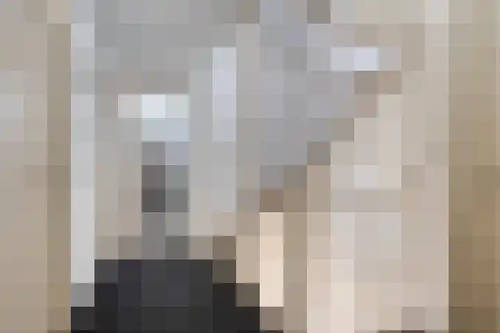 Reidlânswei 81 Hurdegaryp thumbnail 18
