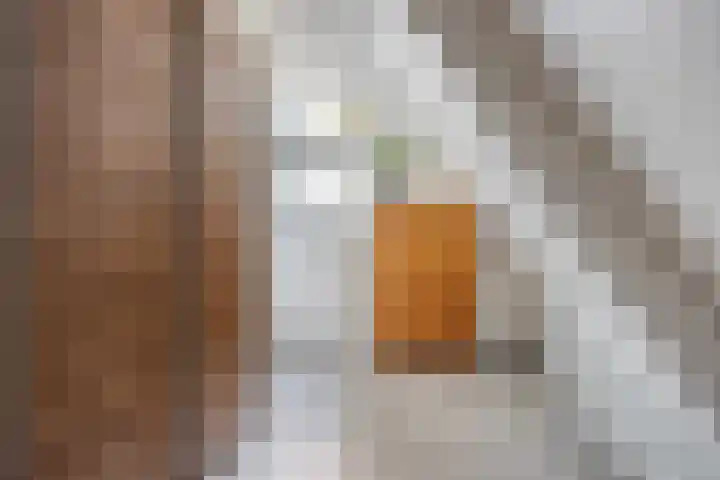 Reidlânswei 81 Hurdegaryp thumbnail 20