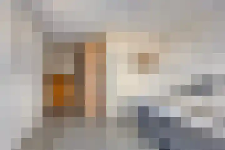 Reidlânswei 81 Hurdegaryp thumbnail 22