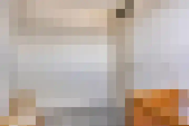 Reidlânswei 81 Hurdegaryp thumbnail 30