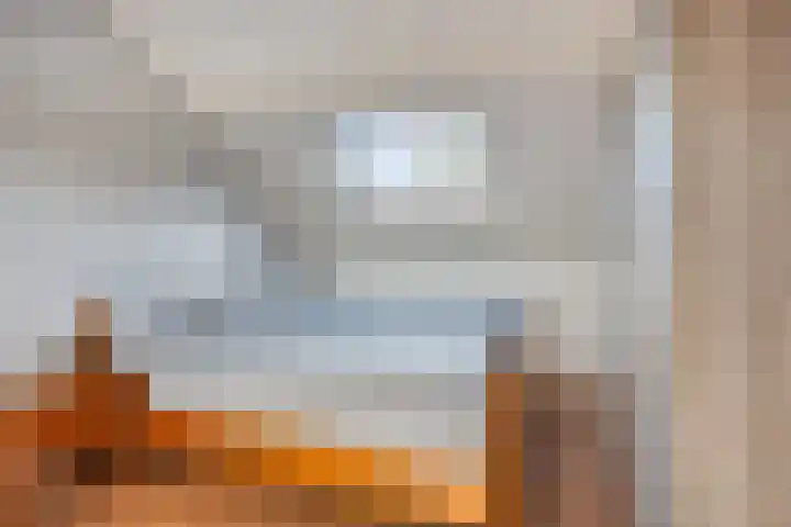 Reidlânswei 81 Hurdegaryp thumbnail 32