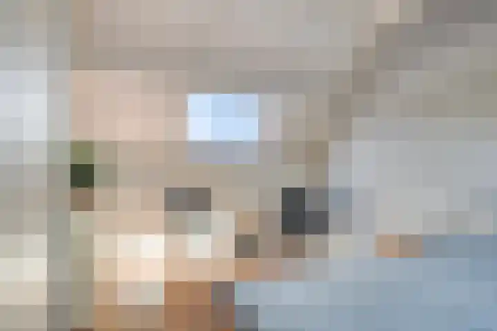 Reidlânswei 81 Hurdegaryp thumbnail 33