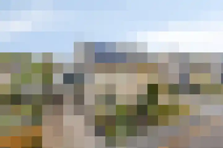 Reidlânswei 81 Hurdegaryp thumbnail 34