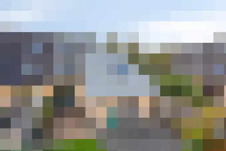 Reidlânswei 81 Hurdegaryp thumbnail 35