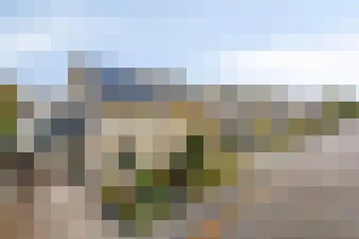 Reidlânswei 81 Hurdegaryp thumbnail 36