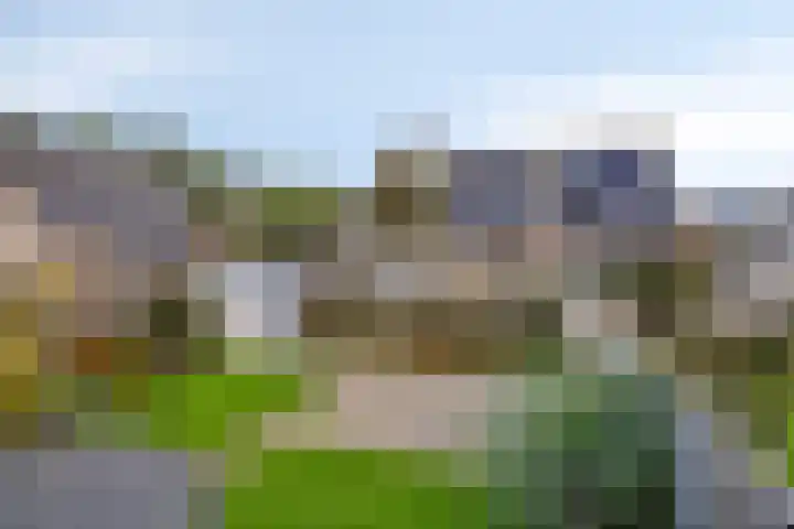 Reidlânswei 81 Hurdegaryp thumbnail 37