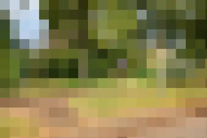 Reidlânswei 81 Hurdegaryp thumbnail 38