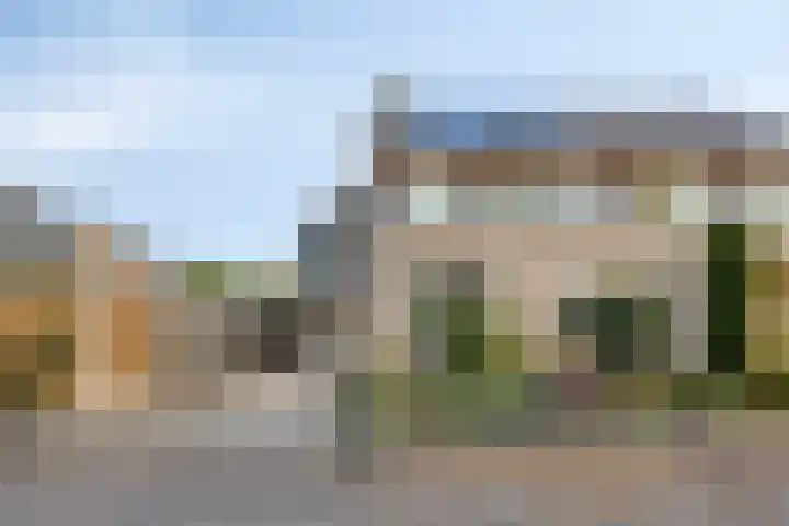 Reidlânswei 81 Hurdegaryp thumbnail 4