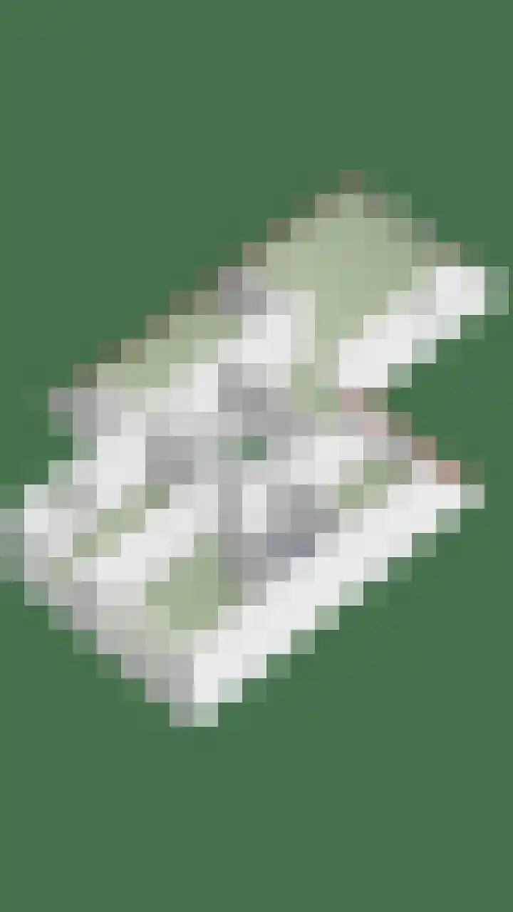 Reidlânswei 81 Hurdegaryp thumbnail 45