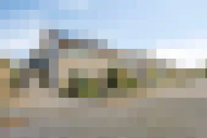 Reidlânswei 81 Hurdegaryp thumbnail 5