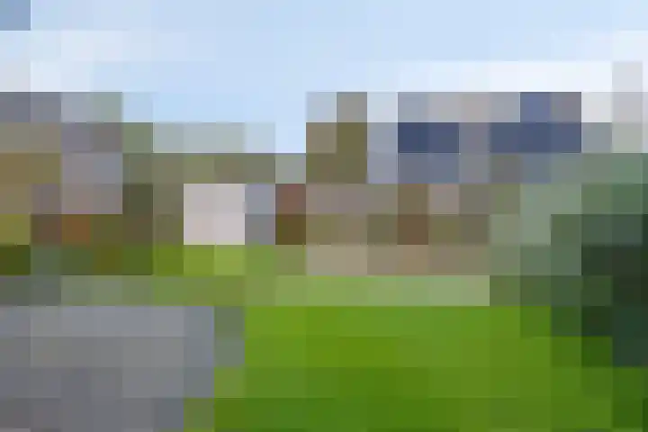 Reidlânswei 81 Hurdegaryp thumbnail 6