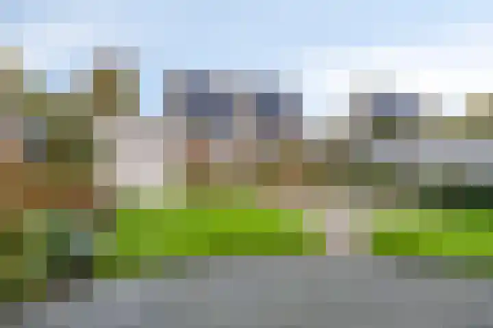 Reidlânswei 81 Hurdegaryp thumbnail 7