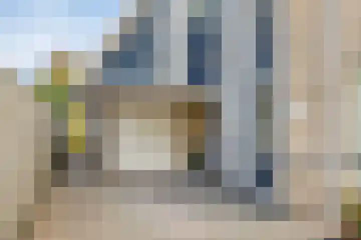 Reidlânswei 81 Hurdegaryp thumbnail 8