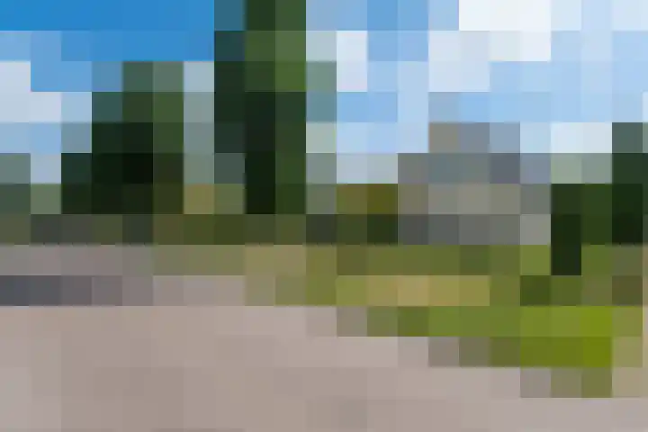 Reidlânswei 90 Hurdegaryp thumbnail 10