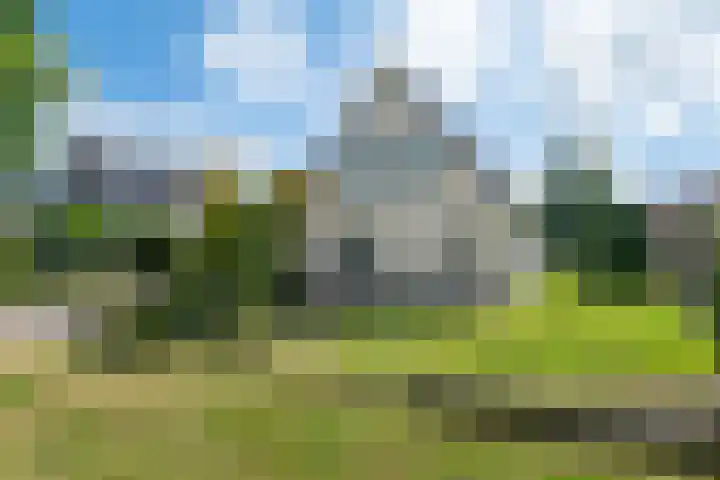 Reidlânswei 90 Hurdegaryp thumbnail 11